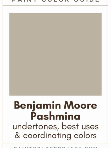 Benjamin Moore Pashmina Paint Color Guide
