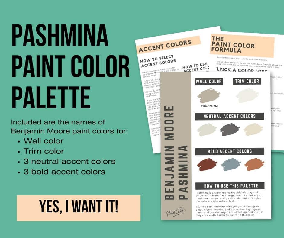 Benjamin Moore Pashmina Paint Palette