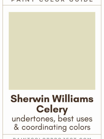 Sherwin Williams Celery Paint Color Guide