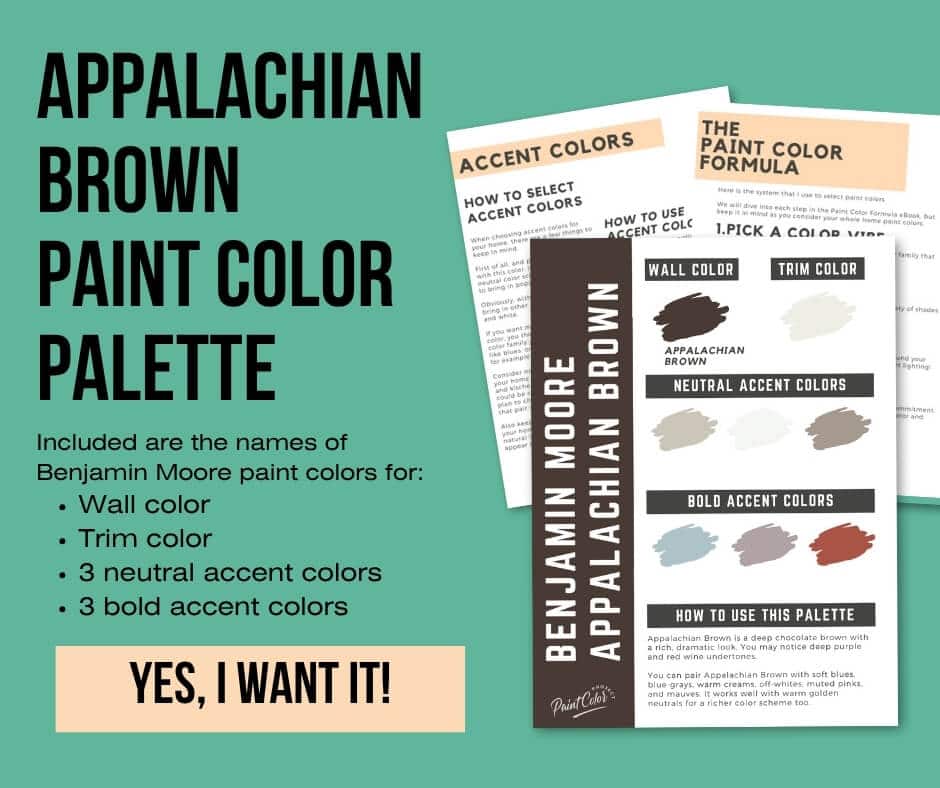 Benjamin Moore Appalachian Brown Paint Palette