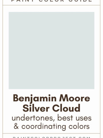 Benjamin Moore Silver Cloud Paint Color Guide
