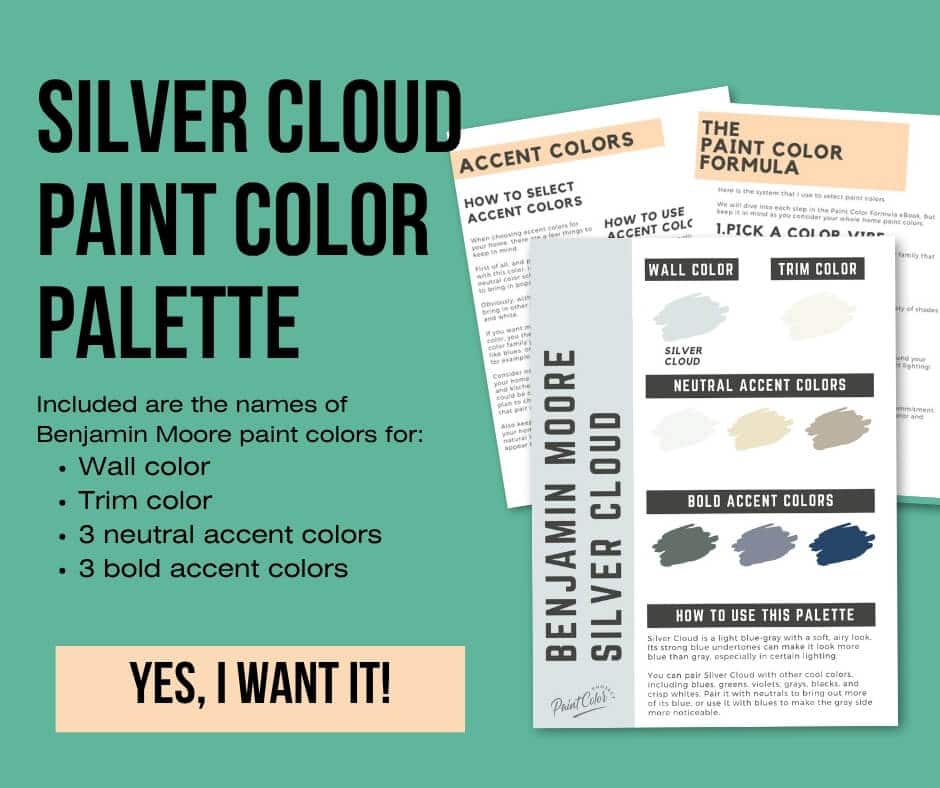 Benjamin Moore Silver Cloud Paint Palette