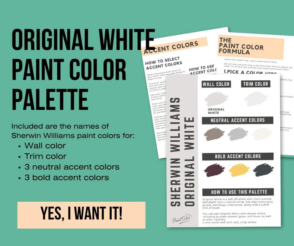 Sherwin Williams Original White Paint Palette
